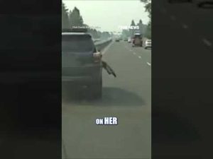 Read more about the article Deputies deploy Grappler to END high-speed chase #shorts