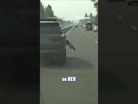 Read more about the article Deputies deploy Grappler to END high-speed chase #shorts