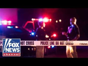 Read more about the article Illegal immigrants CHARGED in brutal Florida murder cases