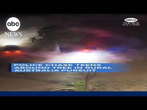 Read more about the article Police chase suspects in circles around tree in bizarre pursuit