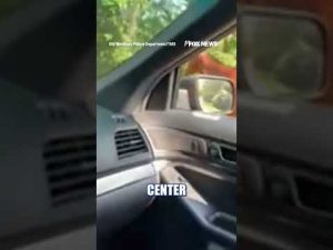 Read more about the article WATCH: Horse takes police on WILD roadside chase #shorts #foxnews #us #news