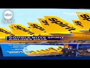 Read more about the article Google is buying a gigantic set of internal Spirit Airlines data