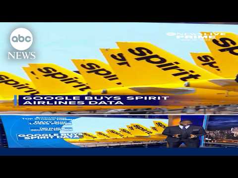 You are currently viewing Google is buying a gigantic set of internal Spirit Airlines data