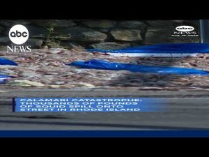 Read more about the article More than 20 tons of squid spills onto Rhode Island street