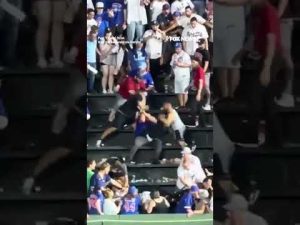 Read more about the article Brawl ERUPTS during Cubs-White Sox game at Wrigley Field #shorts #foxnews #news #us