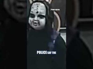 Read more about the article Police searching for man in ‘CHUCKY-STYLE’ mask chasing, threatening people #shorts #us #news