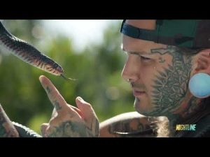 Read more about the article Creator of ‘Tiger King’ is releasing new series on reptile smuggling