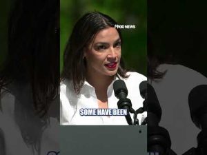 Read more about the article MOTHERHOOD DIVIDE: Leavitt, AOC approaches to motherhood spark conversation #shorts #foxnews #news