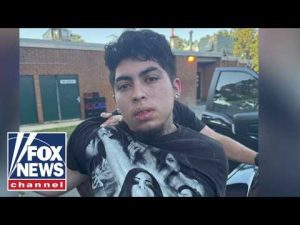 Read more about the article This is the COST of letting millions of undocumented people into the US, expert says