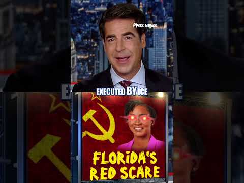 Read more about the article Jesse Watters: Schumer’s gonna have to babysit  #foxnews #news #us