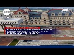 Read more about the article Woman arrested for allegedly plotting New York state Capitol attack