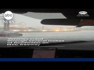 Read more about the article Vehicles crawl through several inches of floodwater on NYC freeway