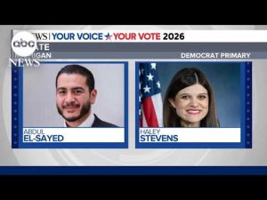 Read more about the article Key Senate primary highlights battle over Democratic Party’s future