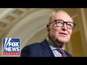 Read more about the article If the DSA wins, they’ll KICK OUT Schumer: David Asman