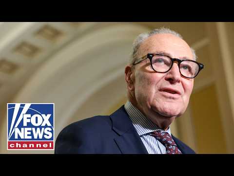 Read more about the article If the DSA wins, they’ll KICK OUT Schumer: David Asman