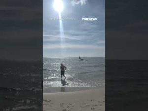 Read more about the article WATCH: Small plane PLUNGES into ocean #shorts