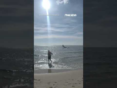 Read more about the article WATCH: Small plane PLUNGES into ocean #shorts