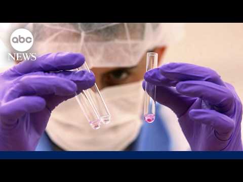 Read more about the article Breakthrough DNA technology identifies 9|11 victim’s remains nearly 25-years later