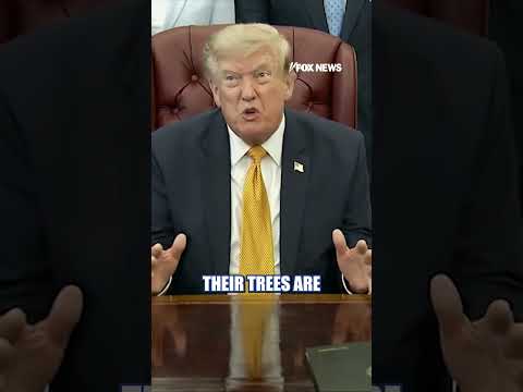 Read more about the article Trump RIPS blue cities: ‘They are FILTHY, DIRTY’ #shorts #news #foxnews #us