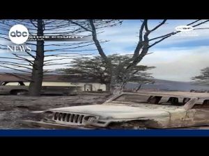 Read more about the article Hawk Fire brings destruction near Reno, Nevada