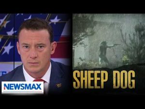 Read more about the article ‘More people are alive today because he had that gun’: Higbie on Idaho hero firing back at shooter