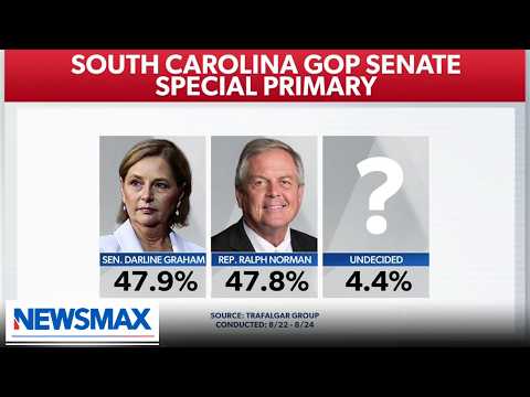 Read more about the article Gidley: Candidates have to kiss babies, go to BBQ joints in South Carolina | National Report