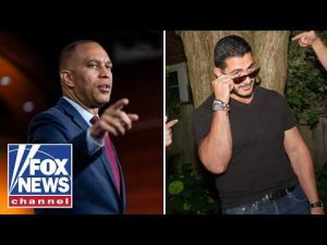 Read more about the article Progressives DO NOT understand this: Ex-Democratic campaign operative