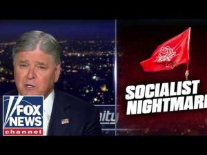 Read more about the article Sean Hannity: The radicals have a chokehold on the Democratic Party